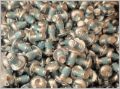 Picture of T NUT BOLT 5/16 X 1/2 W/ PATCH